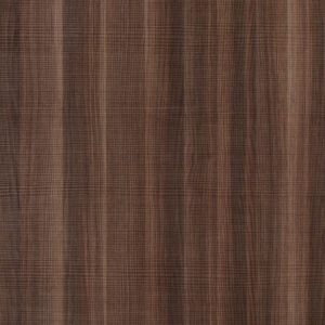 Alentejo Elm