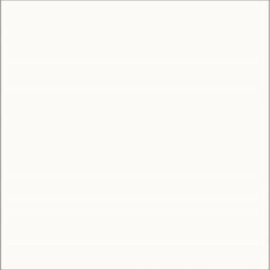 Sunny White